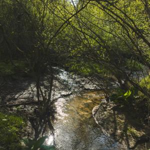 DJI_20260421174006_0634_D