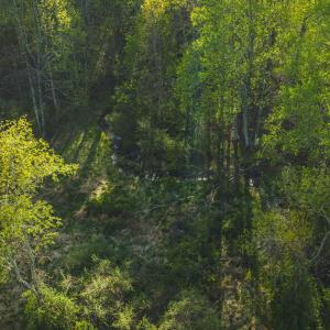 DJI_20260421174158_0638_D