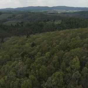 DJI_20260424150020_0793_D