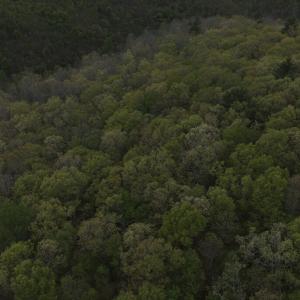 DJI_20260424150024_0794_D