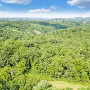 10-DJI_0838