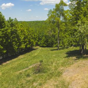 DJI_20260423134423_0741_D