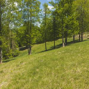 DJI_20260423134507_0744_D