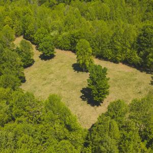 DJI_20260423134625_0749_D
