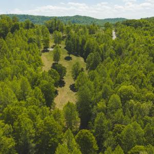 DJI_20260423134720_0751_D