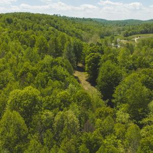DJI_20260423134747_0753_D