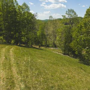DJI_20260423135050_0766_D