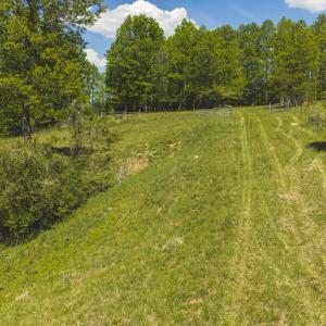 DJI_20260423135056_0767_D