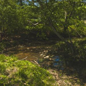 DJI_20260423135602_0781_D