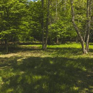 DJI_20260423135811_0788_D