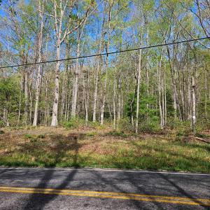 road view