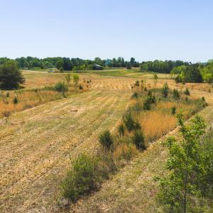 DJI_20260423122142_0721_D