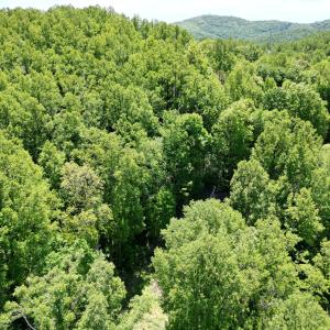 DJI_0678