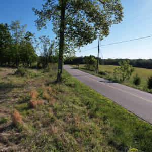 DJI_0461