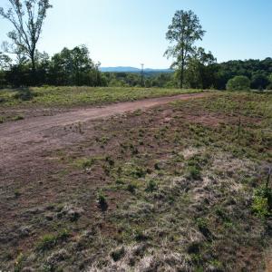 DJI_0462