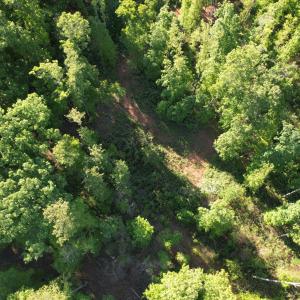 DJI_0463