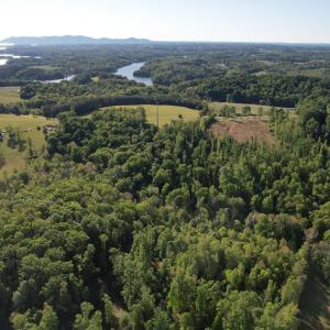 DJI_0464