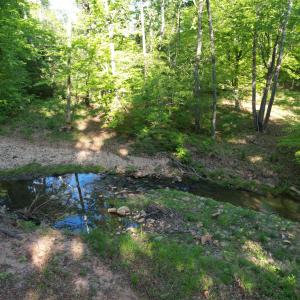 DJI_0468