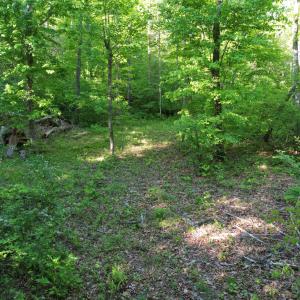 DJI_0491