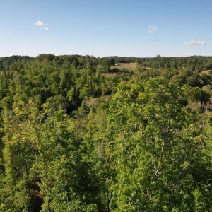 DJI_0505