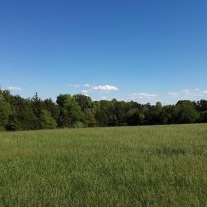 Rock Cliff Farm