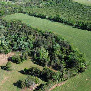 Rock Cliff Farm