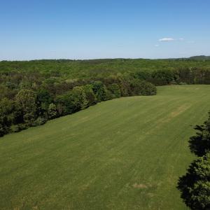 Rock Cliff Farm