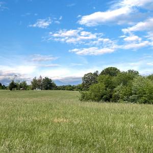 Rock Cliff Farm