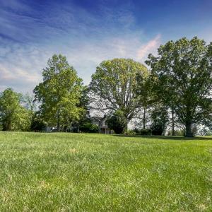 Rock Cliff Farm