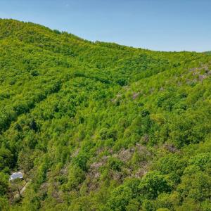 01-Otter Mountain Drive-11