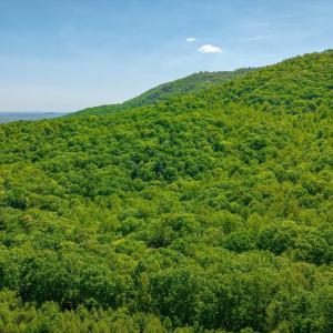 02-Otter Mountain Drive-1