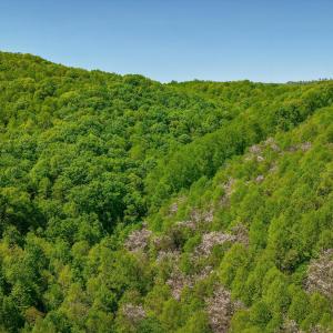 05-Otter Mountain Drive-4