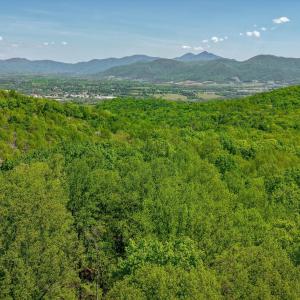 07-Otter Mountain Drive-6