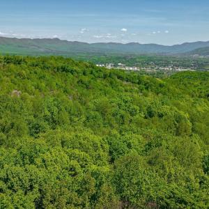08-Otter Mountain Drive-7