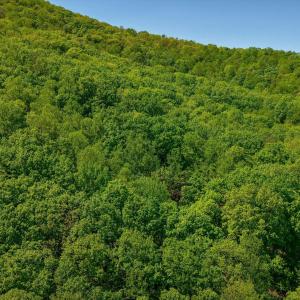 10-Otter Mountain Drive-9