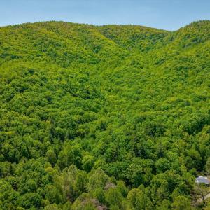 11-Otter Mountain Drive-10