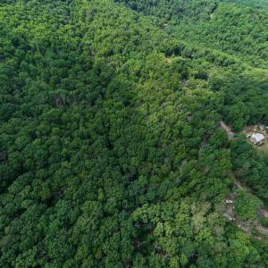 Photo #17 of PANORAMA VIEW DR., STANLEY, VA 4.1 acres