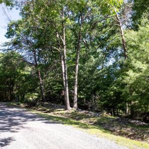 Photo #5 of PANORAMA VIEW DR., STANLEY, VA 4.1 acres