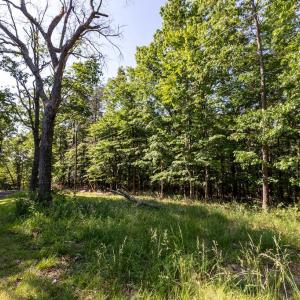 Photo #3 of PANORAMA VIEW DR., STANLEY, VA 4.1 acres