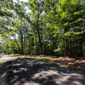 Photo #7 of PANORAMA VIEW DR., STANLEY, VA 4.1 acres
