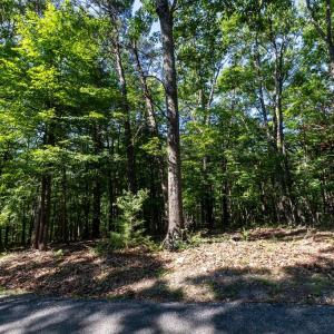 Photo #8 of PANORAMA VIEW DR., STANLEY, VA 4.1 acres