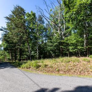 Photo #9 of PANORAMA VIEW DR., STANLEY, VA 4.1 acres