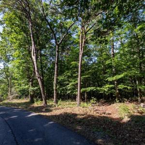 Photo #12 of PANORAMA VIEW DR., STANLEY, VA 4.1 acres