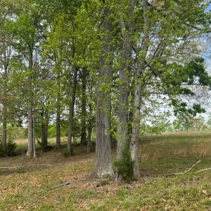 LOt 28 Farm DRive