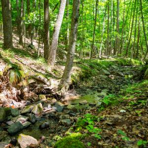 10_adventure_mountain_rd-31