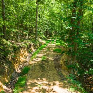 12_adventure_mountain_rd-26