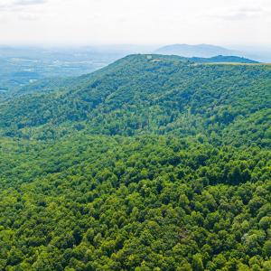 14_adventure_mountain_rd-1
