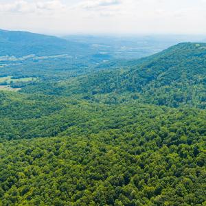 15_adventure_mountain_rd-2