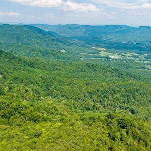 25_adventure_mountain_rd-12