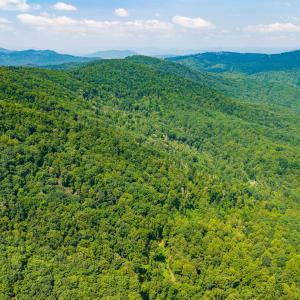 34_adventure_mountain_rd-22